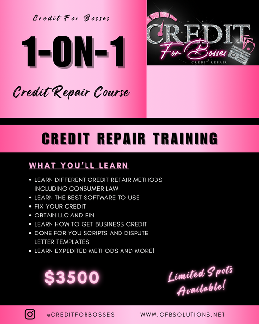 1 ON 1 MENTORSHIP